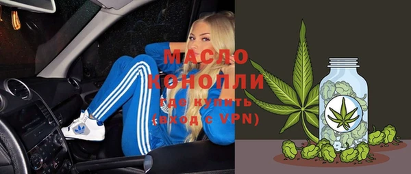 шишки Гусиноозёрск