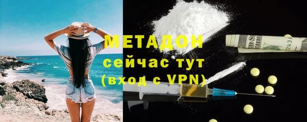 шишки Гусиноозёрск