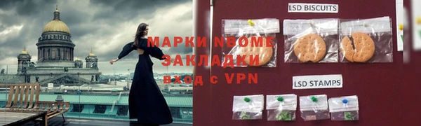 шишки Гусиноозёрск