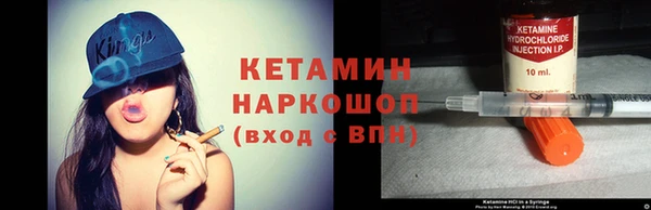 шишки Гусиноозёрск