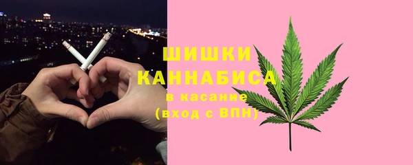 шишки Гусиноозёрск