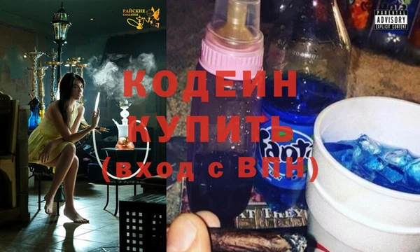 a pvp Гусев