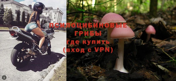 a pvp Гусев