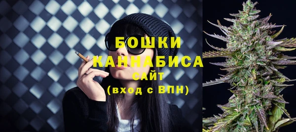 шишки Гусиноозёрск