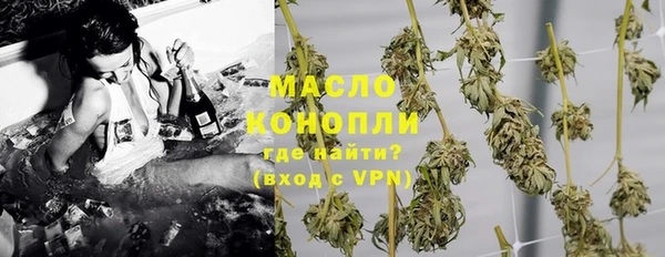 шишки Гусиноозёрск