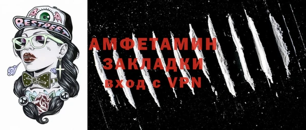 шишки Гусиноозёрск