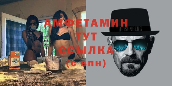 шишки Гусиноозёрск