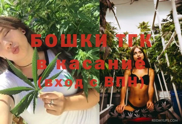 a pvp Гусев