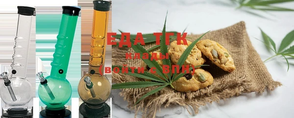 шишки Гусиноозёрск